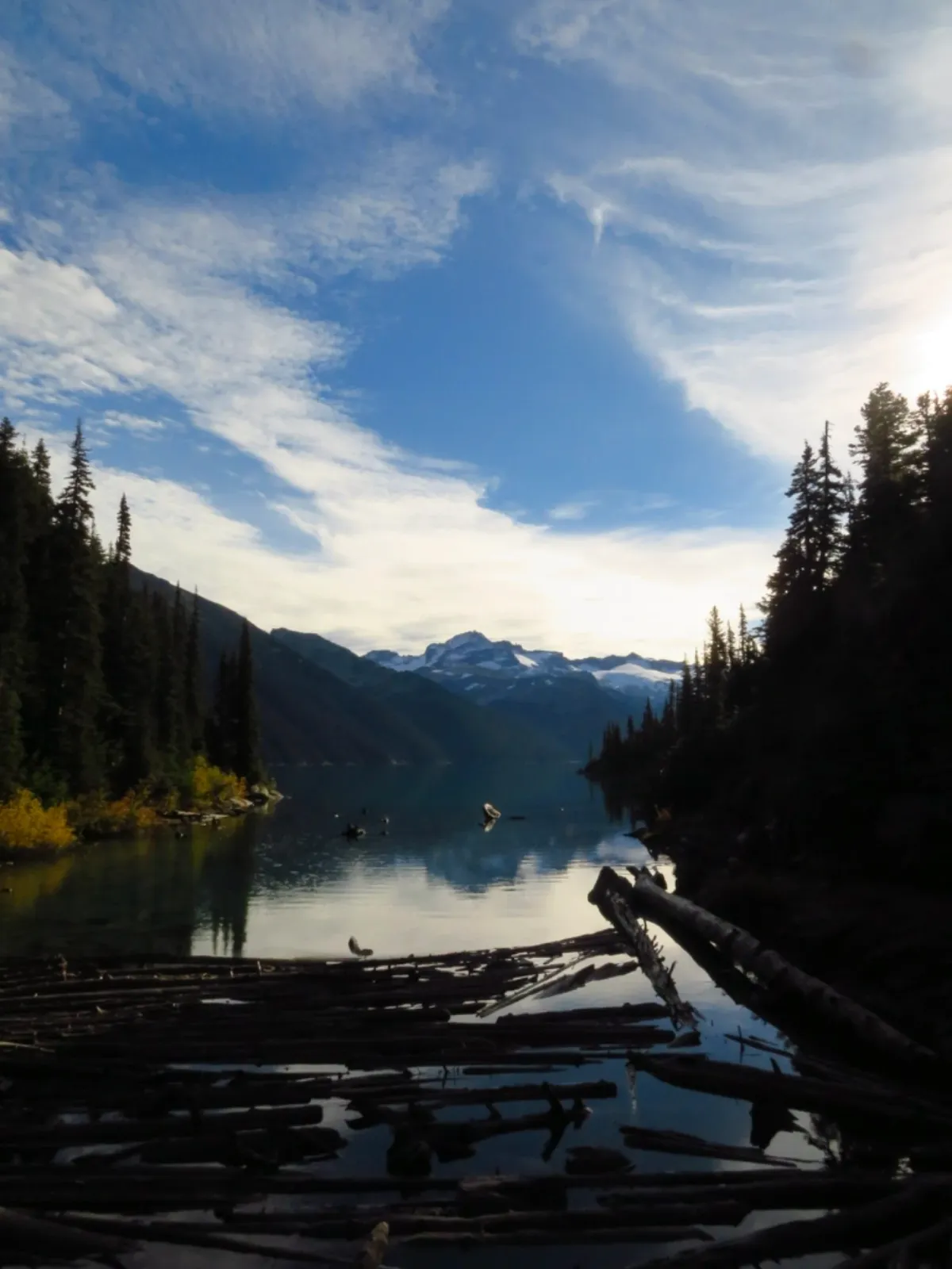 Still lake framed by evergreens