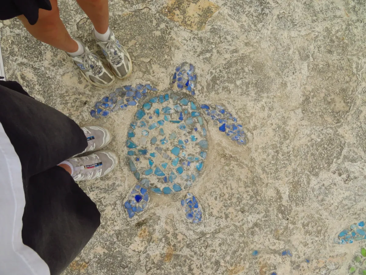 Sneakers on a mosaic turtle