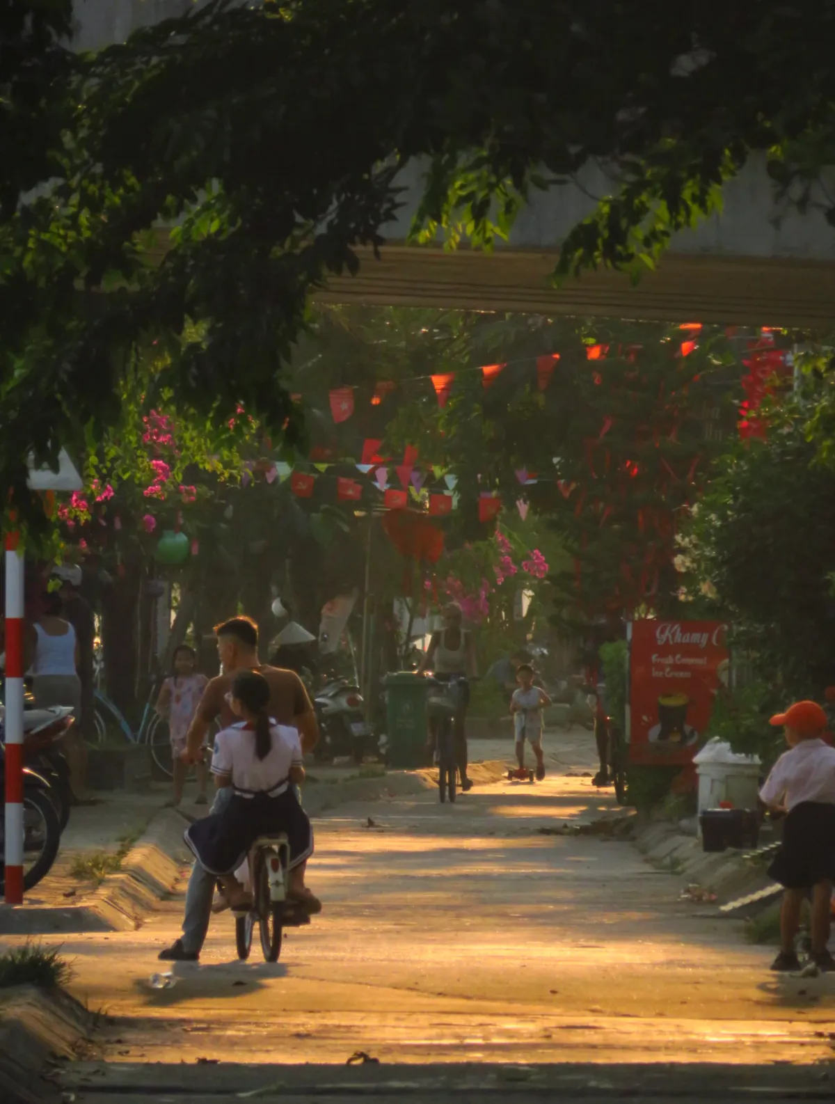 Street under a canopy of trees at golden hour