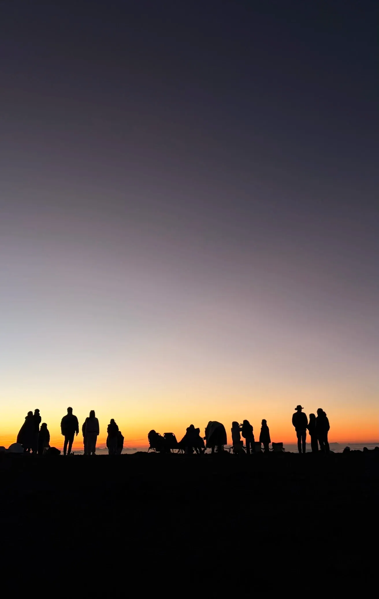 Silhouettes against a dusk sky