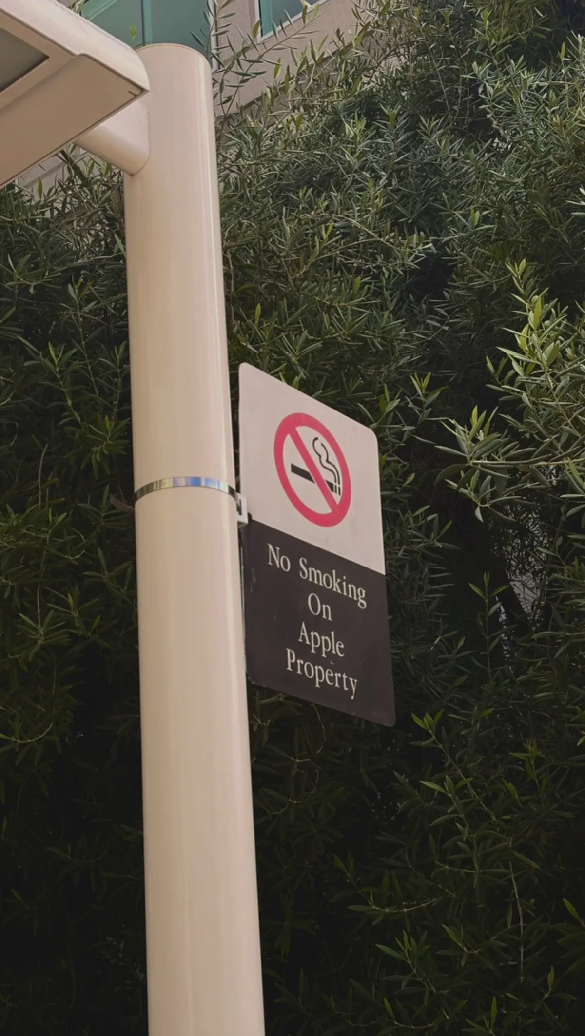 “No smoking on Apple property” sign